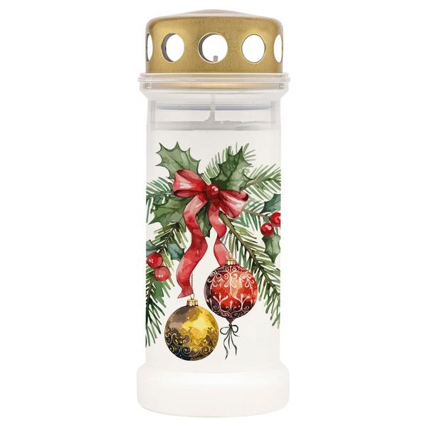 Vyobrazení - 100721597900